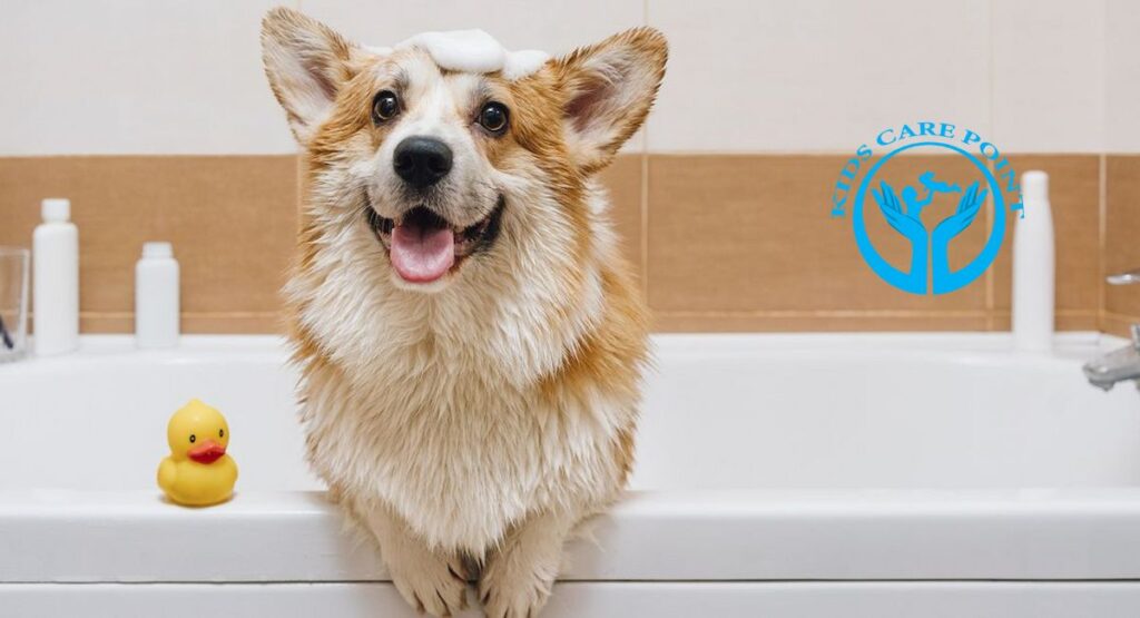 can you use baby shampoo on dogs