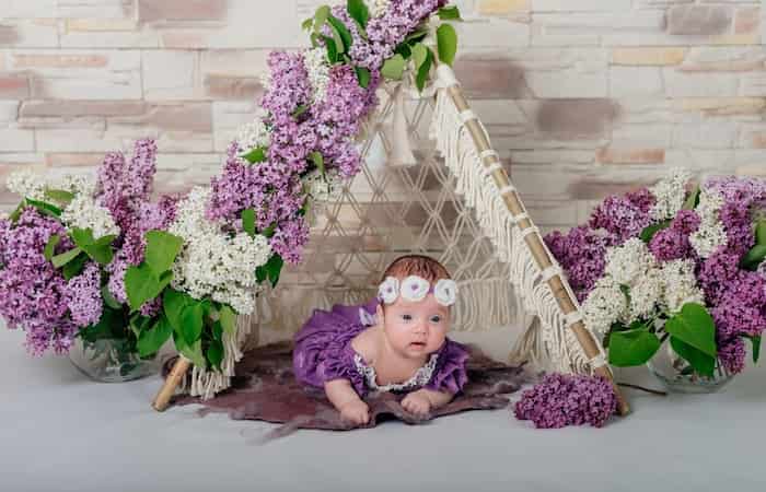 Color Schemes for Newborn Baby Girl Welcome Home Decoration
