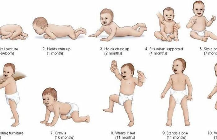 What is Newborn Stage